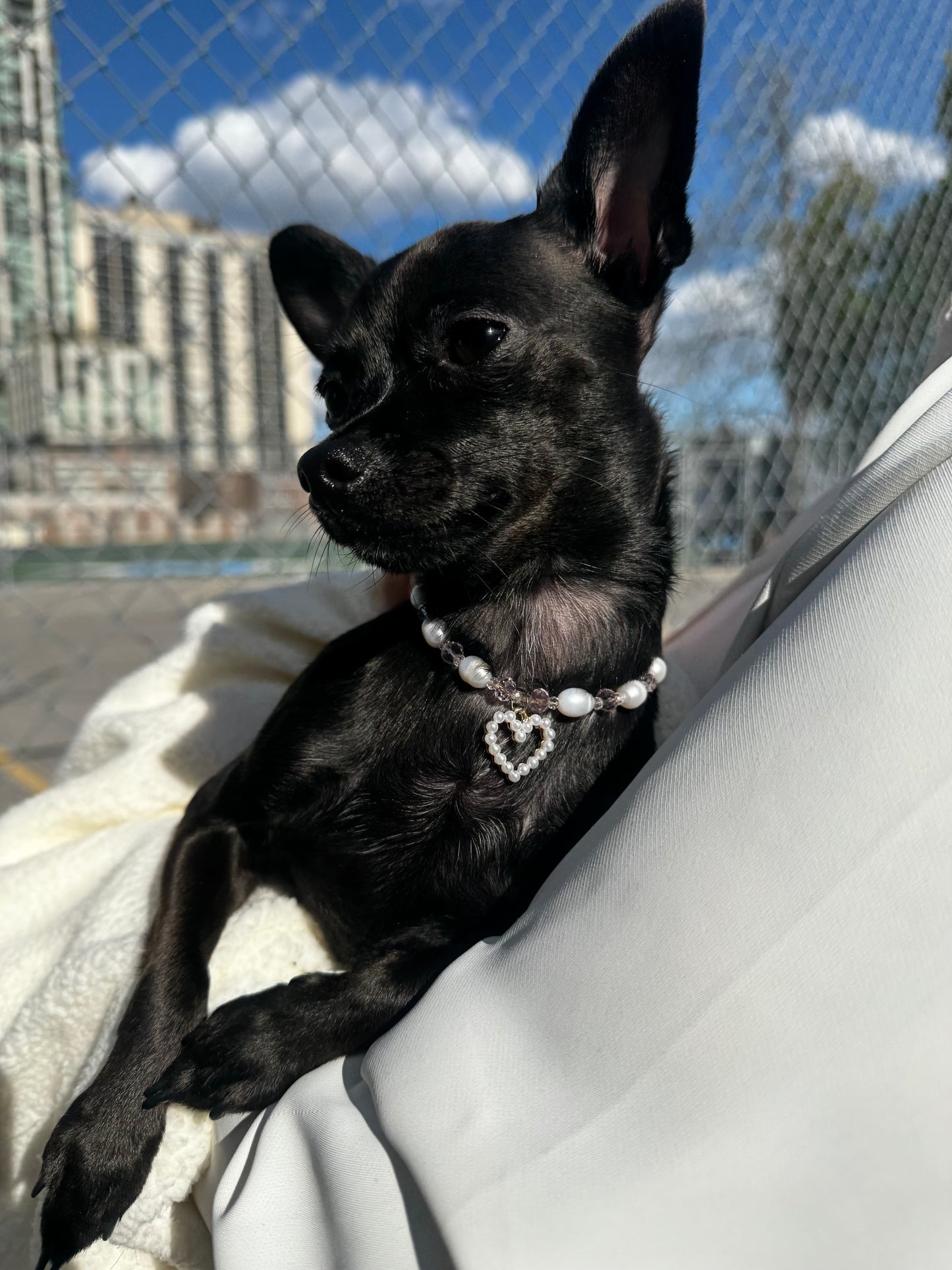 Amor de Luxe