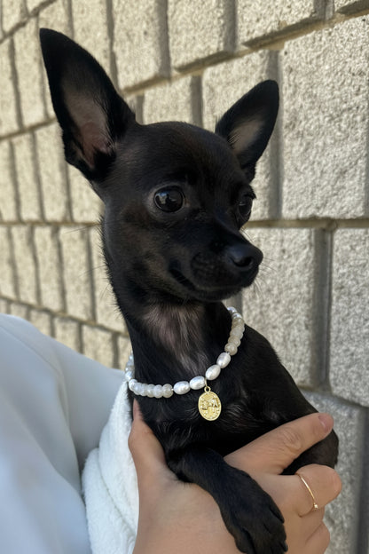 Ivory Muse