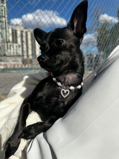 Amor de Luxe